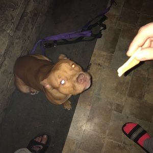 Meet your Posher, Chad